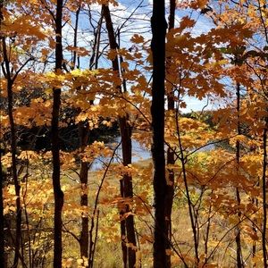 Meet your Posher, Riley